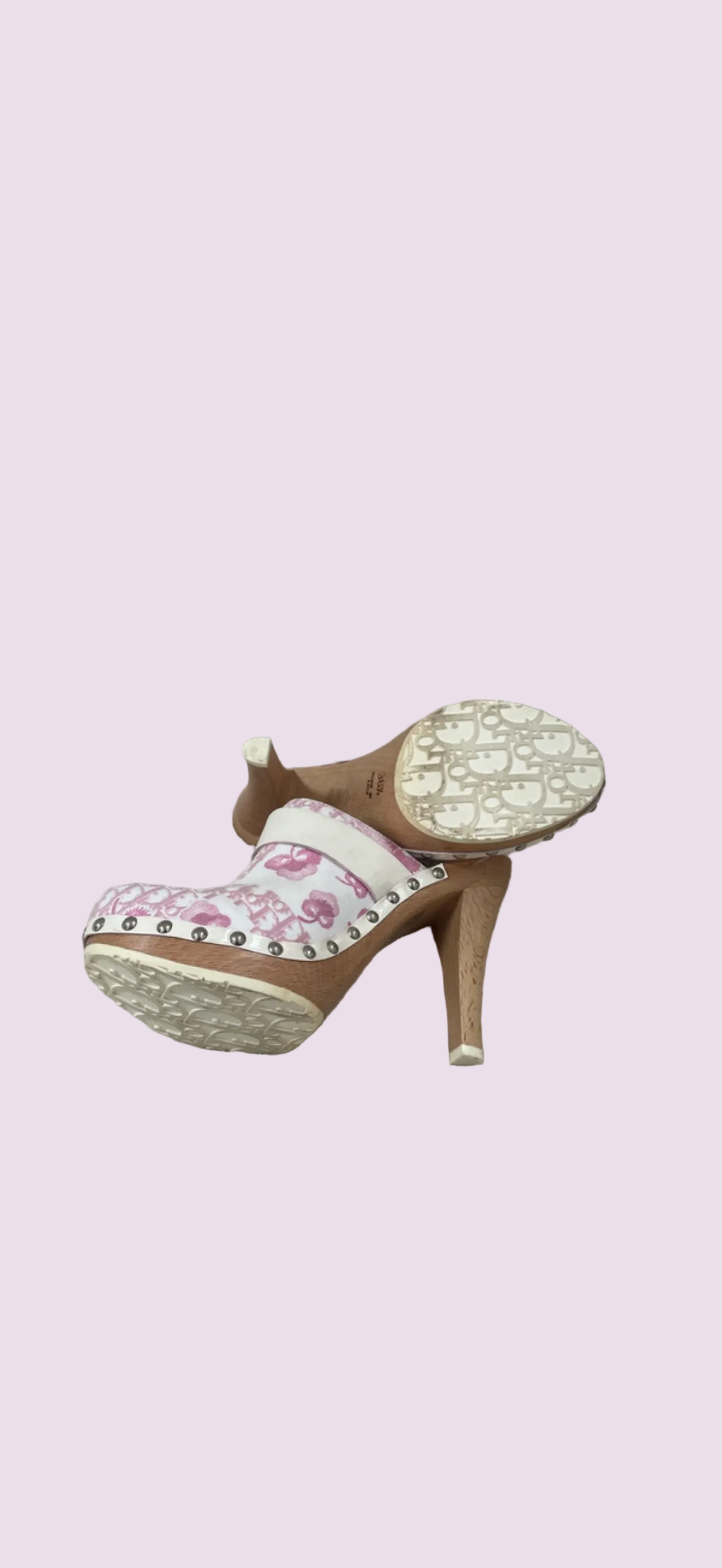 Dior Galliano Cherry Blossom Clogs - 36.5