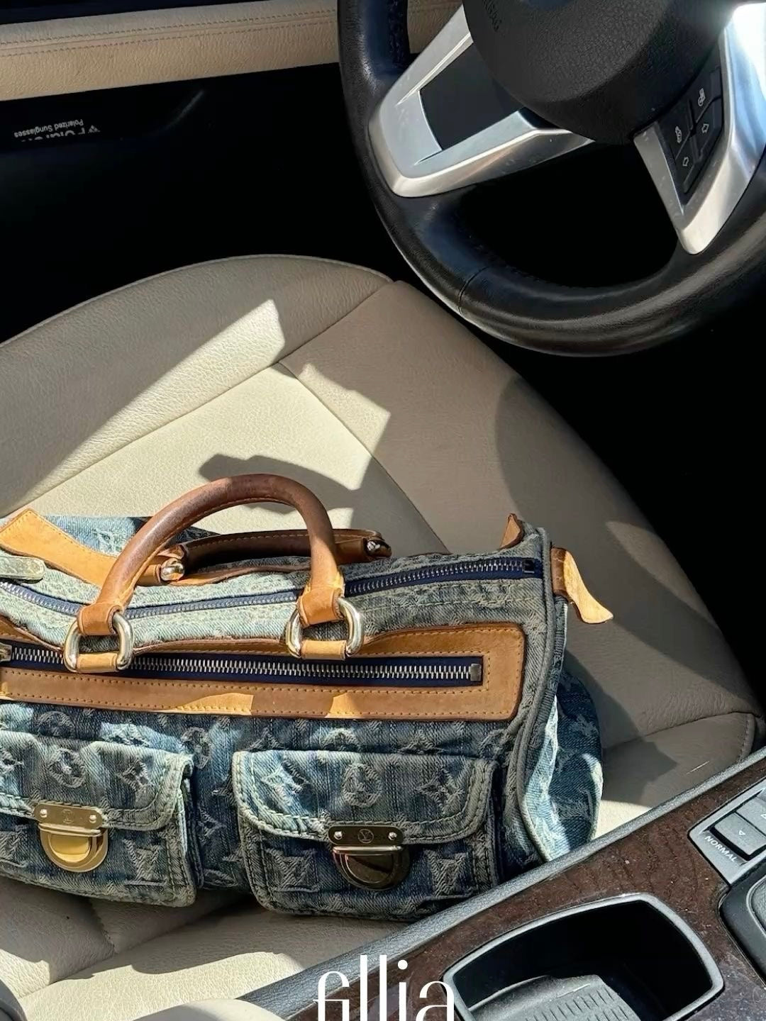 Louis Vuitton Denim Neo Speedy
