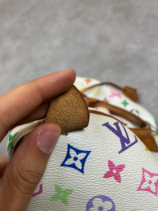 Louis Vuitton x Takashi Murakami Speedy 30 Bag