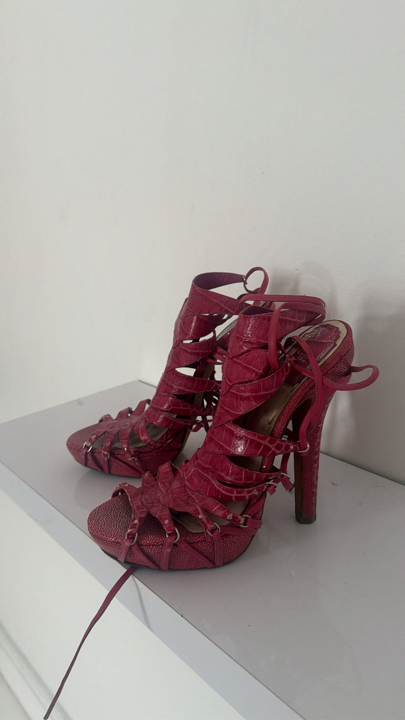 Dior 2009 Alligator Runway Heels in Pink - 39