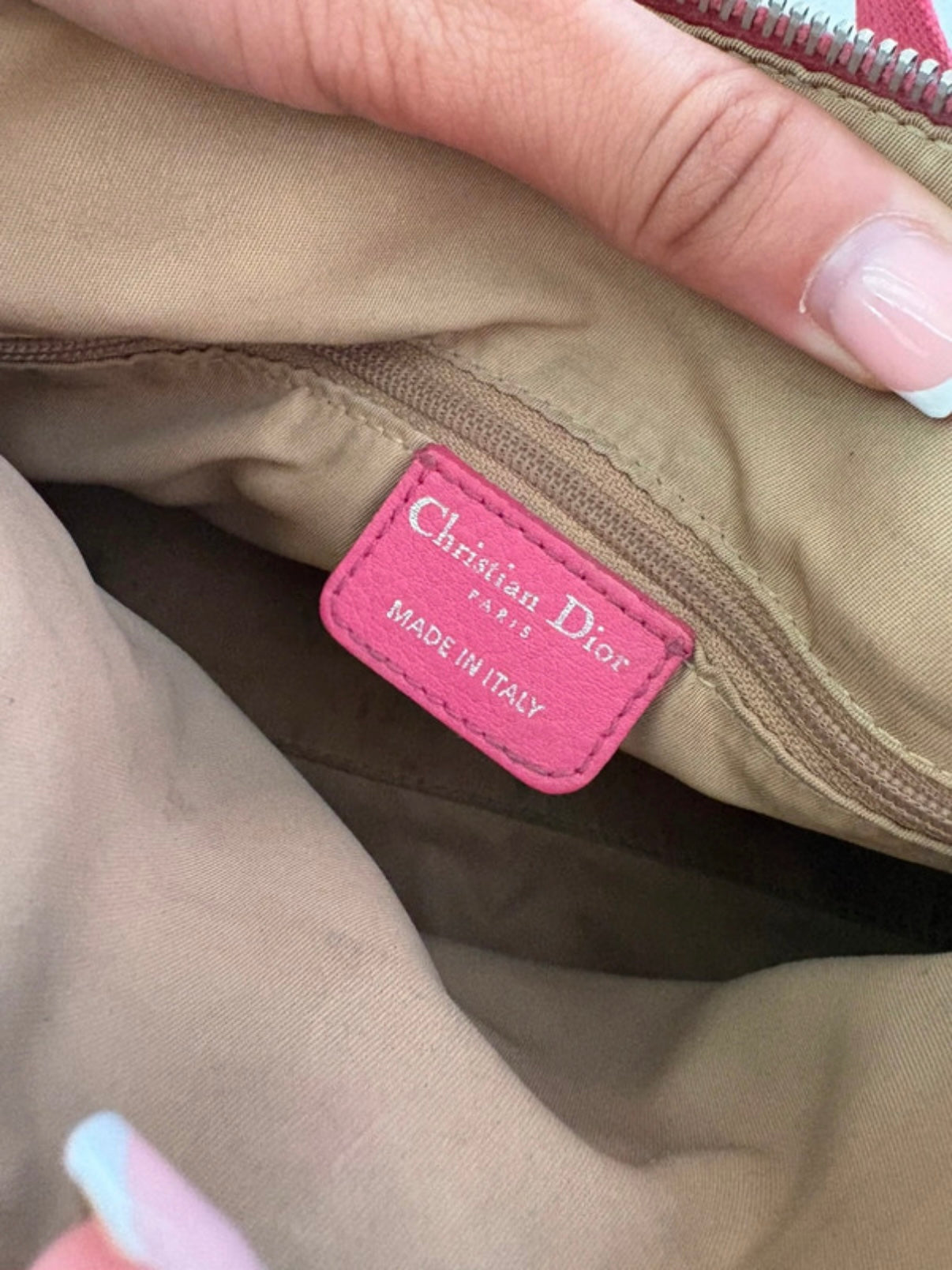 Dior Monogram Bag