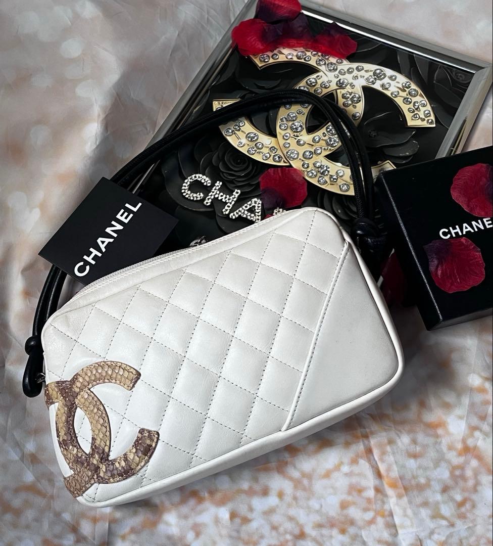 Chanel Cambon with Python CC Bag