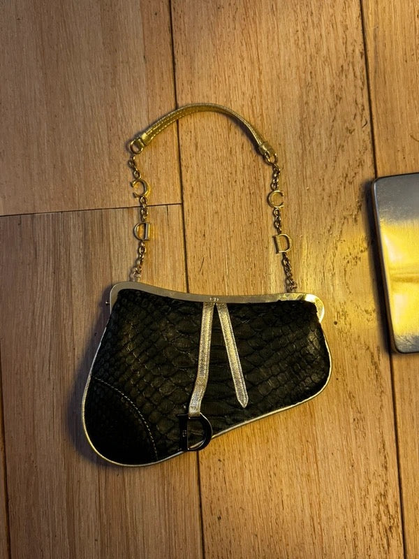 Dior Python Mini Saddle Bag