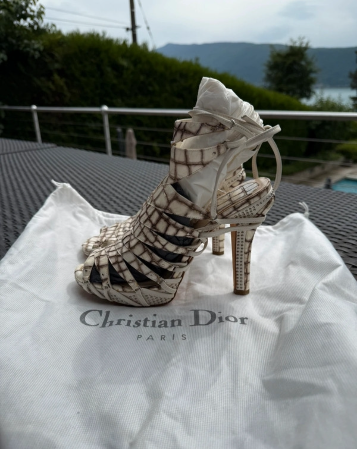 Dior Alligator Runway Heels - 38
