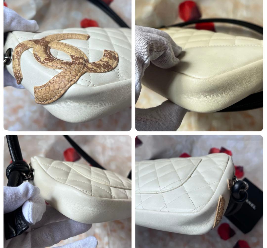 Chanel Cambon with Python CC Bag