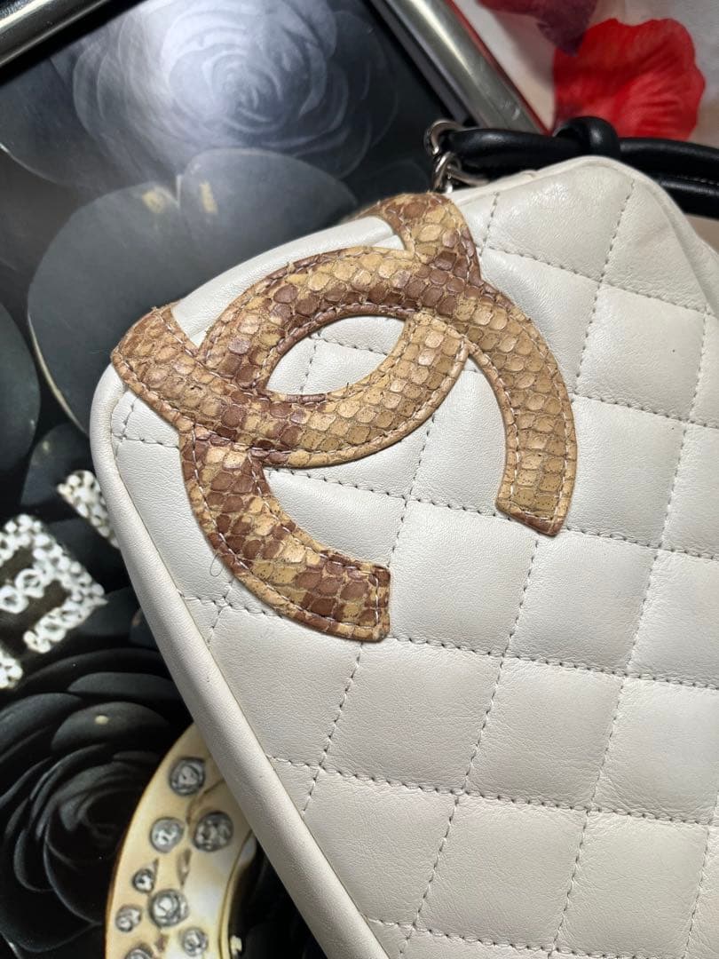 Chanel Cambon with Python CC Bag