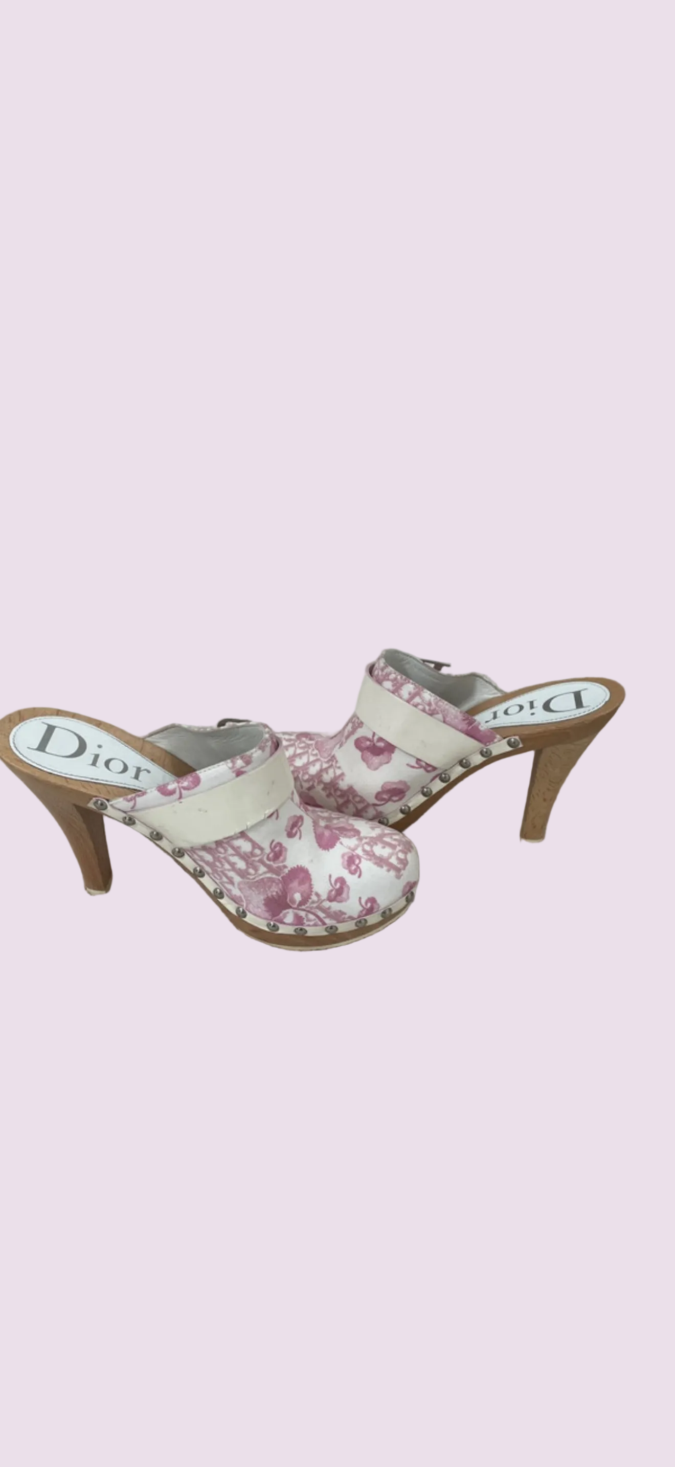 Dior Galliano Cherry Blossom Clogs - 36.5