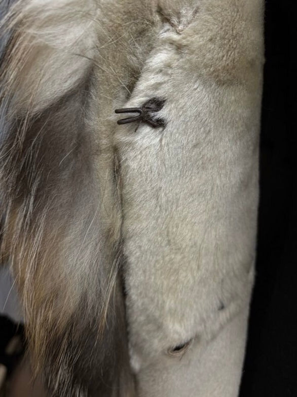 Roberto Cavalli Reversible Fox Fur Coat - S