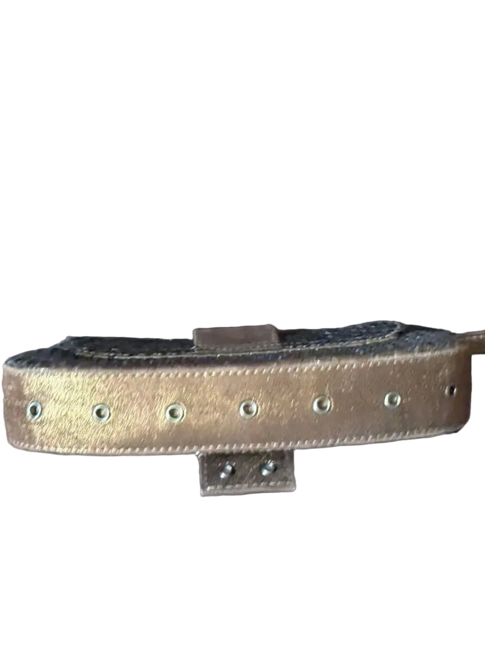 Dior Galliano Python Clutch Bag