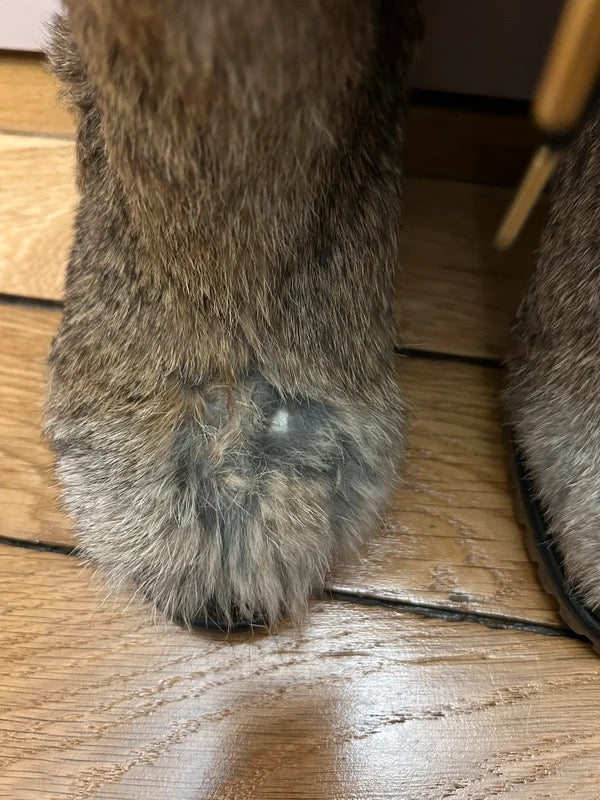 Chloé Rabbit Fur Boots - 38