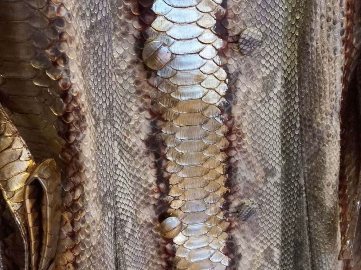 Dior 2008 Resort Collection Ombré Python Jacket - S/M