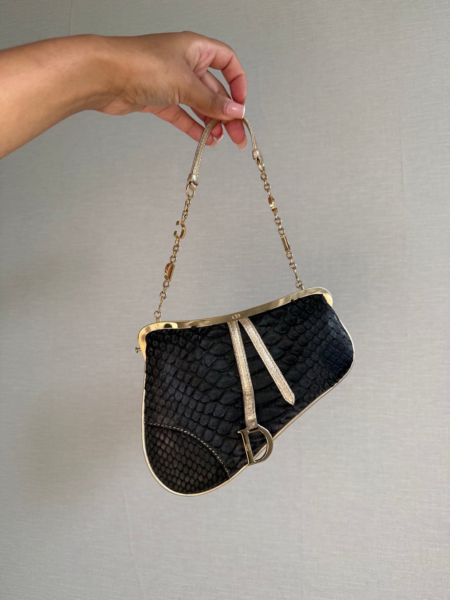 Dior Python Mini Saddle Bag