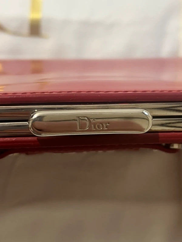 Dior Bondage Clutch and Chain Bag