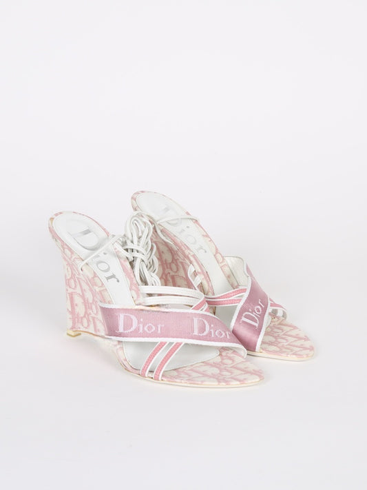 Dior Trotter Monogram Wedges - 40.5