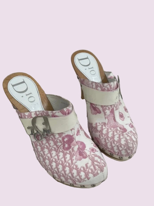 Dior Galliano Cherry Blossom Clogs - 36.5